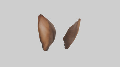 3D model Kangaroo Ears VR / AR / low-poly