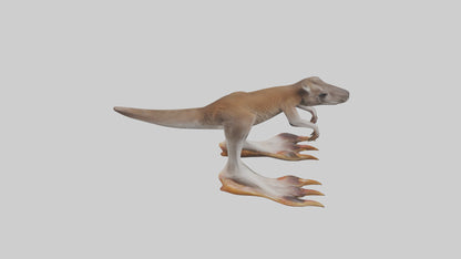 3D model Kangaroo Feet VR / AR / low-poly