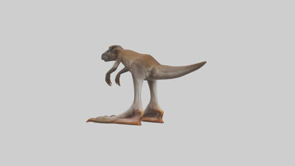 3D model Kangaroo Feet VR / AR / low-poly