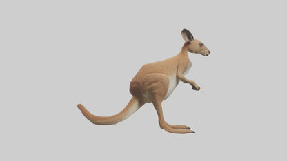 3D model Kangaroo hopping model VR / AR / low-poly
