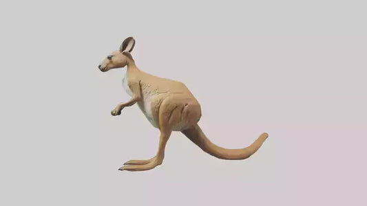 3D model Kangaroo hopping model VR / AR / low-poly