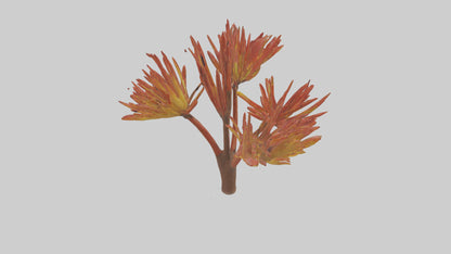 Kangaroo Mouse hopping model VR / AR / low-poly