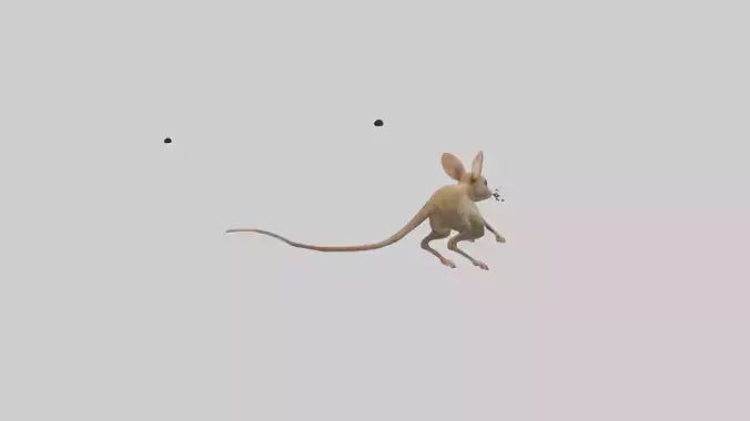 Kangaroo Mouse hopping model VR / AR / low-poly