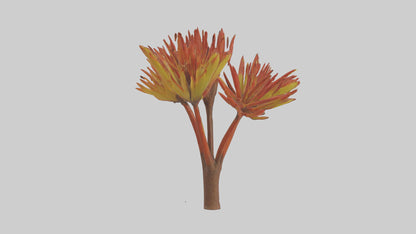 Kangaroo Mouse hopping model VR / AR / low-poly