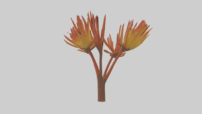 Kangaroo Mouse hopping model VR / AR / low-poly