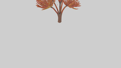 Kangaroo Mouse hopping model VR / AR / low-poly