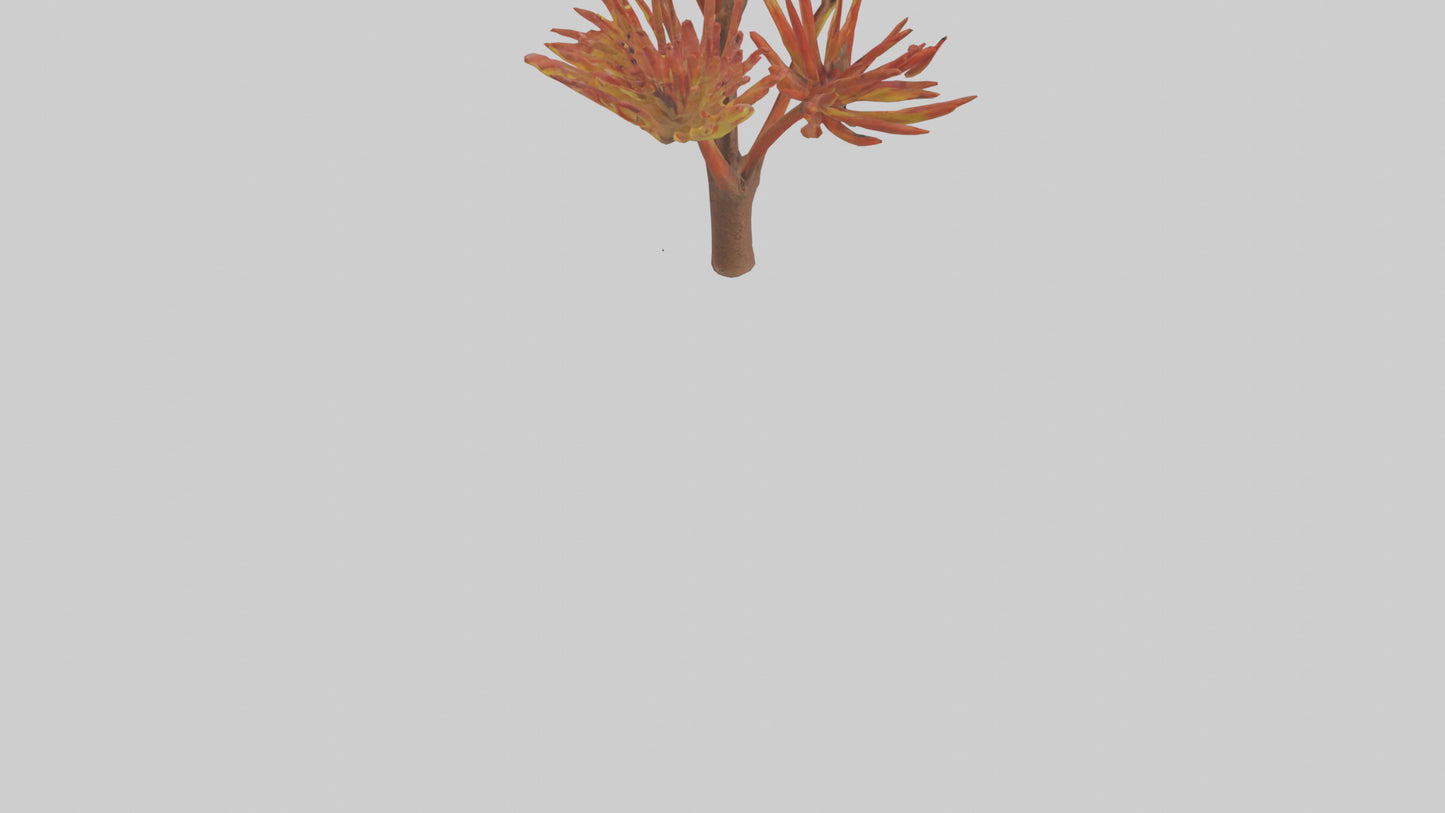 Kangaroo Mouse hopping model VR / AR / low-poly