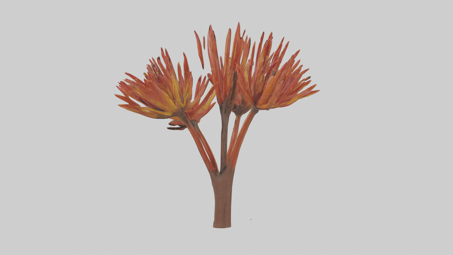 Kangaroo Mouse hopping model VR / AR / low-poly