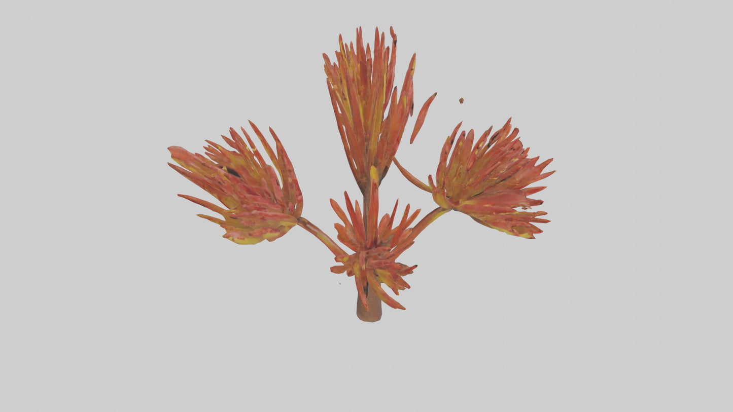 Kangaroo Mouse hopping model VR / AR / low-poly