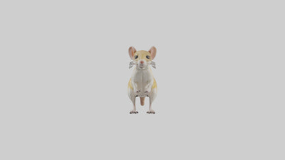 3D model Kangaroo Rat standing model VR / AR / low-poly