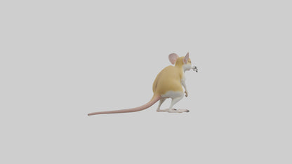 3D model Kangaroo Rat standing model VR / AR / low-poly