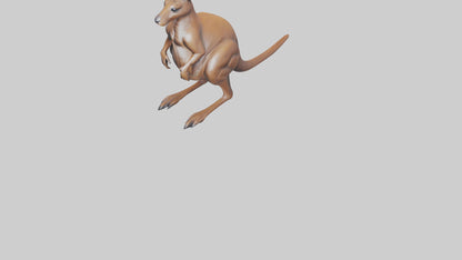 3D model Kangaroo statue model VR / AR / low-poly
