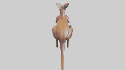 3D model Kangaroo statue model VR / AR / low-poly
