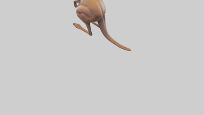 3D model Kangaroo statue model VR / AR / low-poly