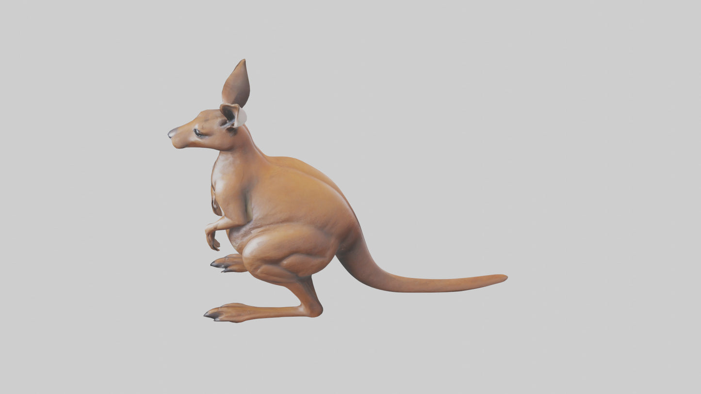 3D model Kangaroo statue model VR / AR / low-poly