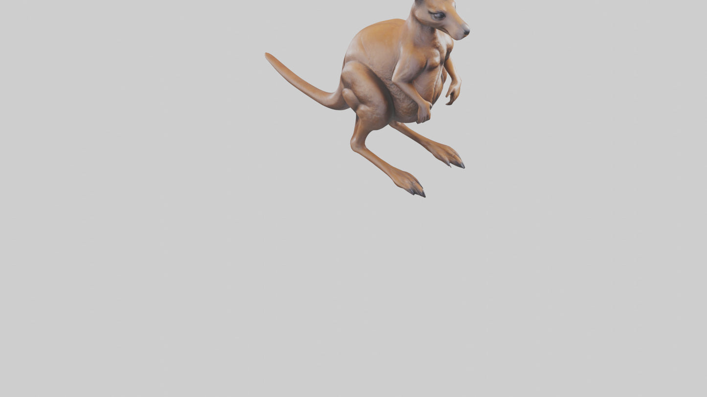 3D model Kangaroo statue model VR / AR / low-poly