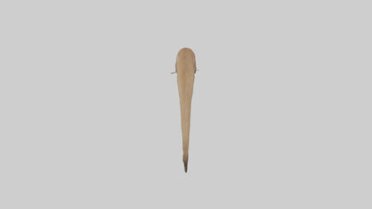 Kangaroo Tail 3D model