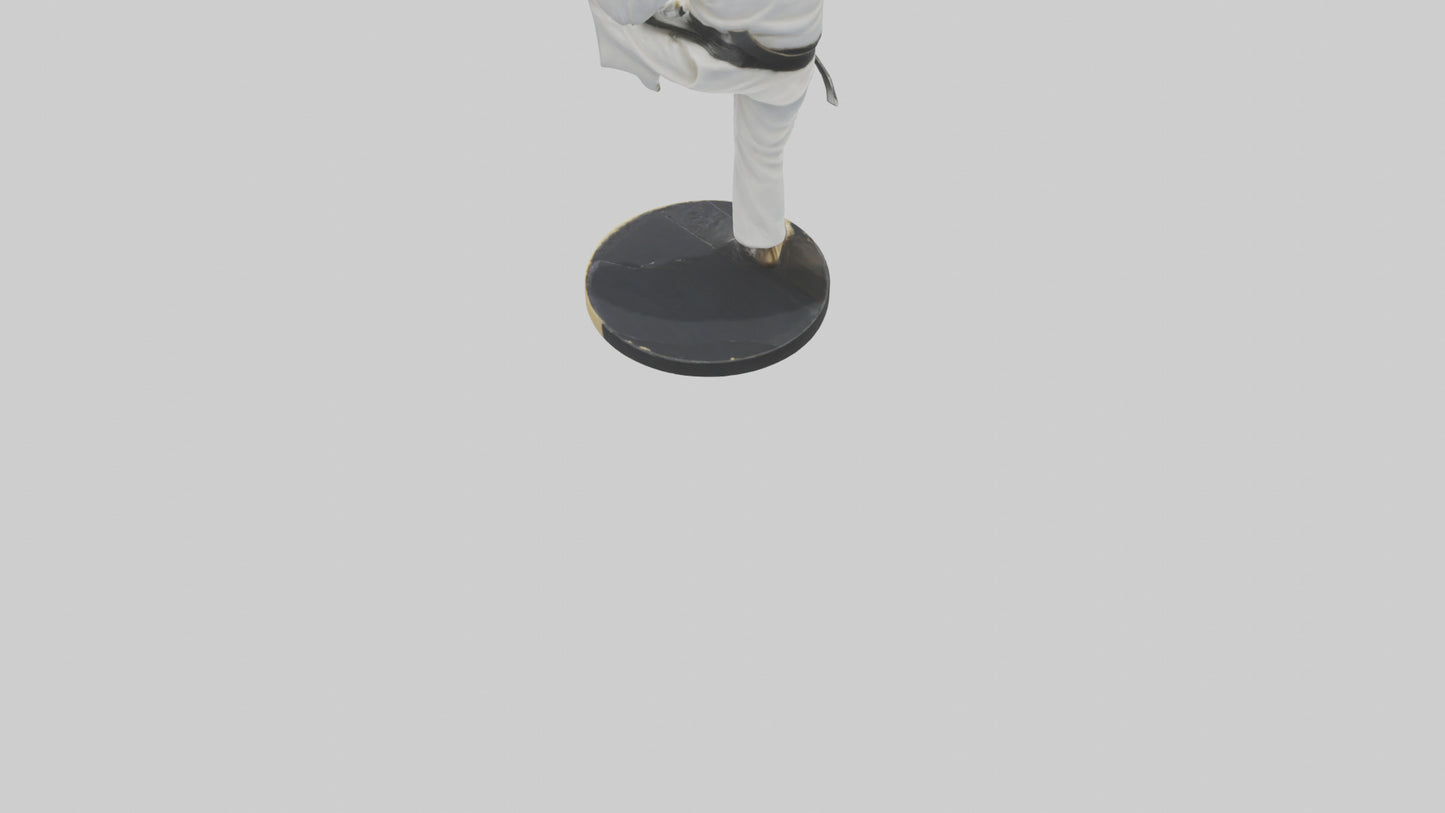 3D model Karate Black Belt Statue model VR / AR / low-poly