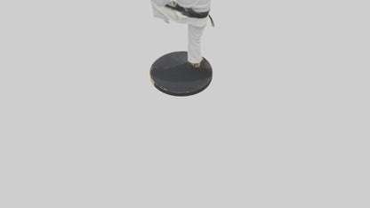 3D model Karate Black Belt Statue model VR / AR / low-poly