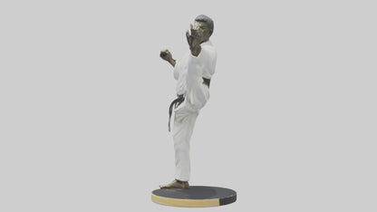 3D model Karate Black Belt Statue model VR / AR / low-poly