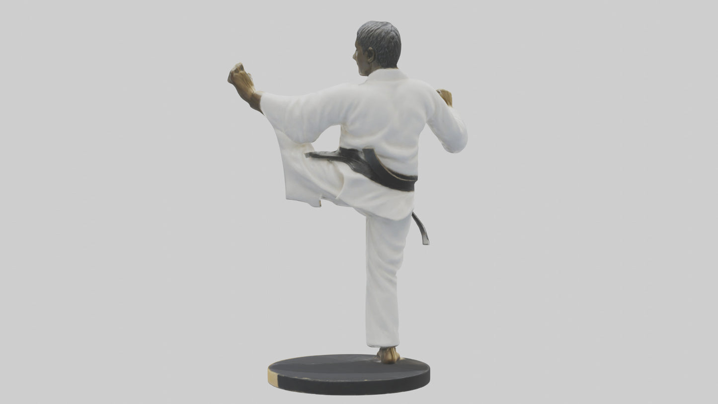 3D model Karate Black Belt Statue model VR / AR / low-poly