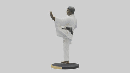 3D model Karate Black Belt Statue model VR / AR / low-poly