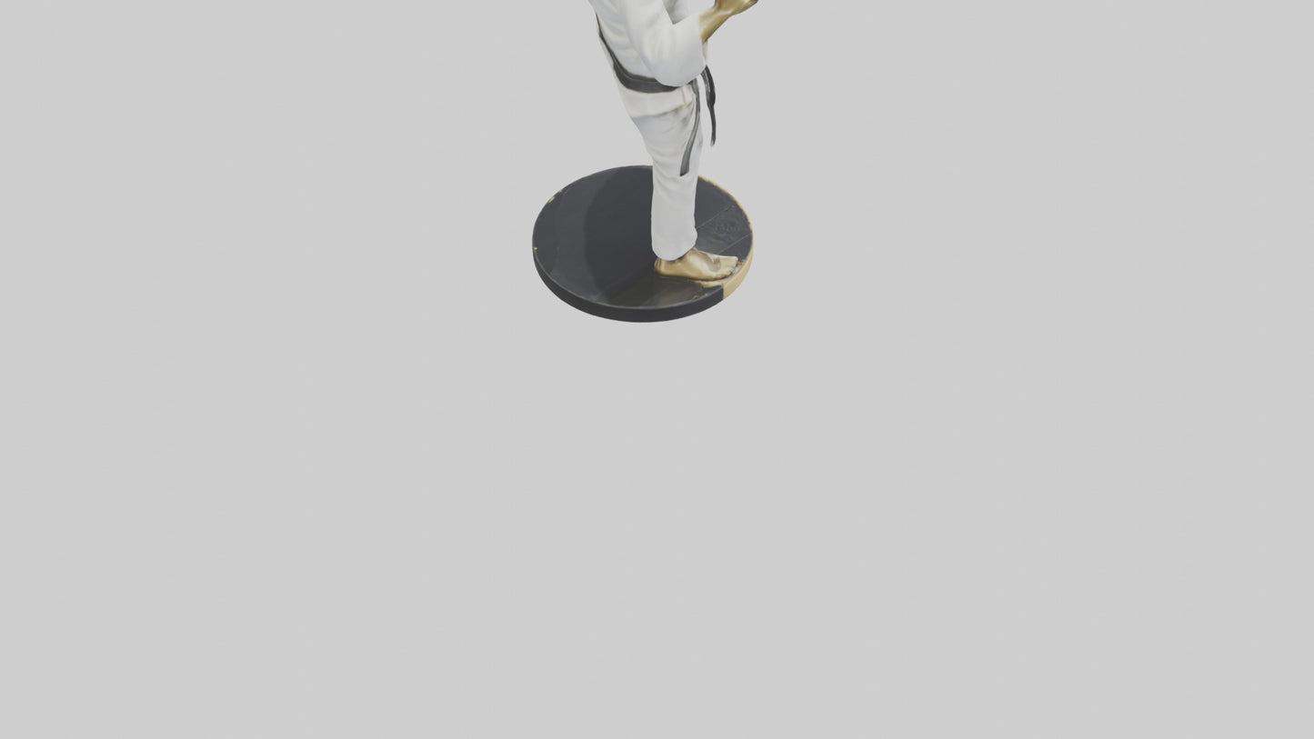 3D model Karate Black Belt Statue model VR / AR / low-poly