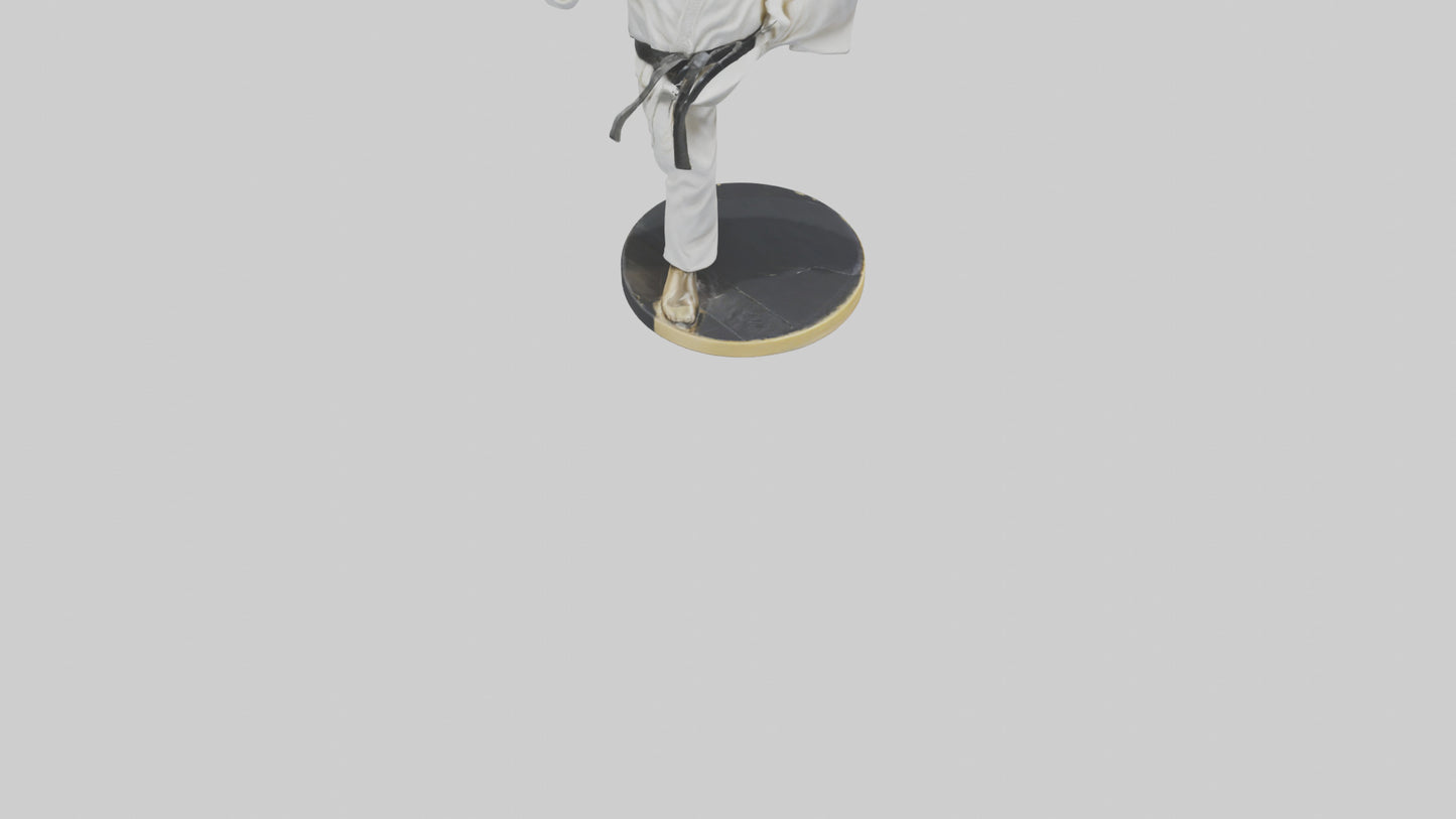 3D model Karate Black Belt Statue model VR / AR / low-poly