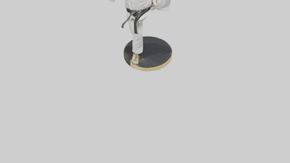 3D model Karate Black Belt Statue model VR / AR / low-poly