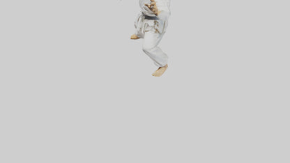 3D model Karate Fighter in Stance statue model VR / AR / low-poly