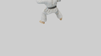3D model Karate Fighter in Stance statue model VR / AR / low-poly