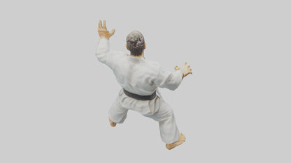 3D model Karate Fighter in Stance statue model VR / AR / low-poly