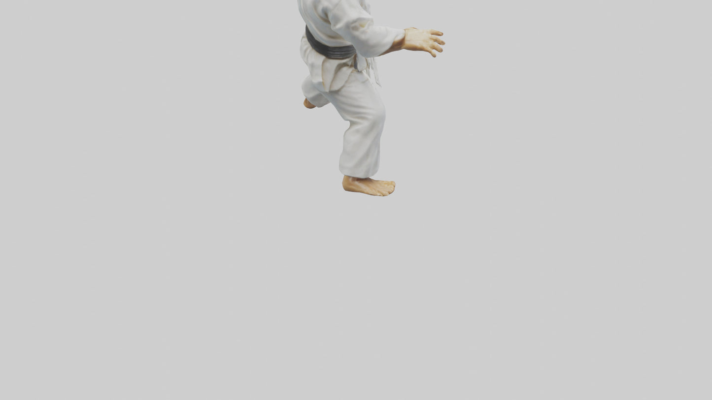 3D model Karate Fighter in Stance statue model VR / AR / low-poly