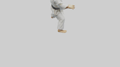 3D model Karate Fighter in Stance statue model VR / AR / low-poly
