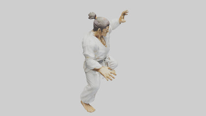 3D model Karate Fighter in Stance statue model VR / AR / low-poly