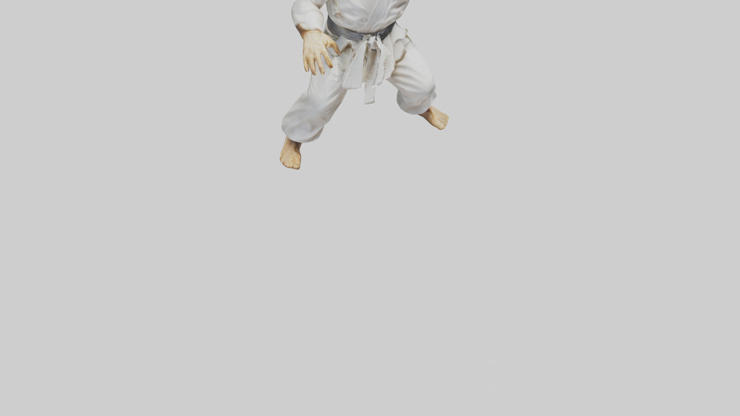 3D model Karate Fighter in Stance statue model VR / AR / low-poly
