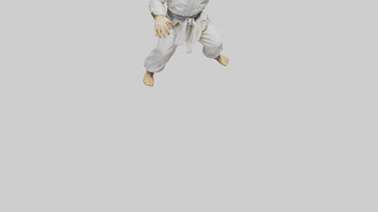 3D model Karate Fighter in Stance statue model VR / AR / low-poly