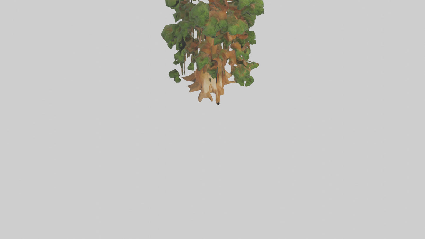 3D model Kauri tree model VR / AR / low-poly