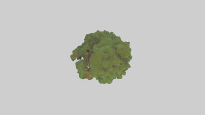 3D model Kauri tree model VR / AR / low-poly