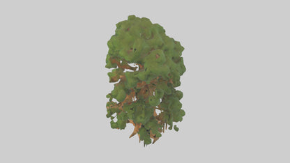 3D model Kauri tree model VR / AR / low-poly