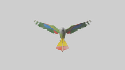 3D model Kea Parrot gliding model VR / AR / low-poly