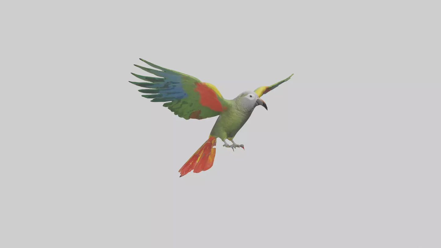3D model Kea Parrot gliding model VR / AR / low-poly