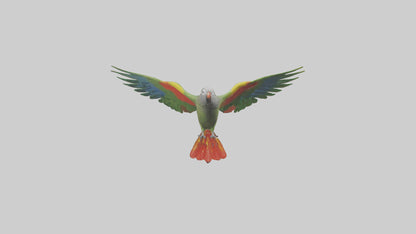 3D model Kea Parrot gliding model VR / AR / low-poly