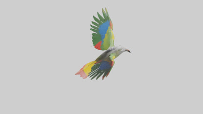3D model Kea Parrot gliding model VR / AR / low-poly
