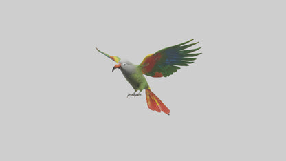 3D model Kea Parrot gliding model VR / AR / low-poly