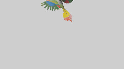 3D model Kea Parrot gliding model VR / AR / low-poly