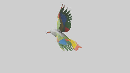 3D model Kea Parrot gliding model VR / AR / low-poly
