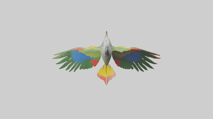 3D model Kea Parrot gliding model VR / AR / low-poly