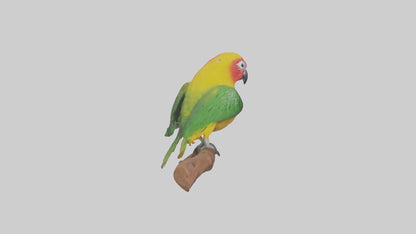 3D model Kea parrot perched model VR / AR / low-poly