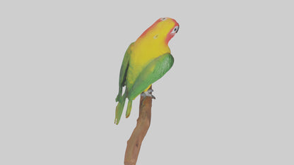3D model Kea parrot perched model VR / AR / low-poly